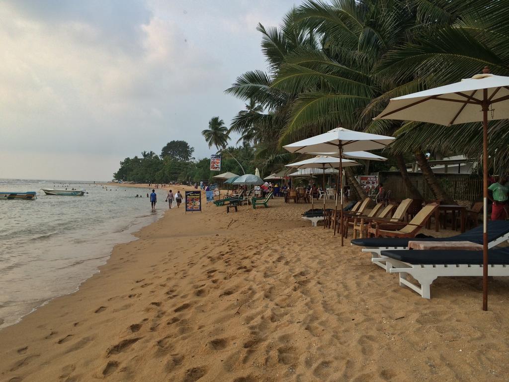 Hotel Coconut Bar Sea Lodge Берувала Екстер'єр фото